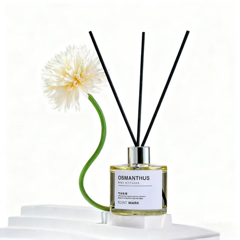 Set Reed Diffuser 50ML Aroma L - Diffuser Reed Sticks Set ulasan dan harga
