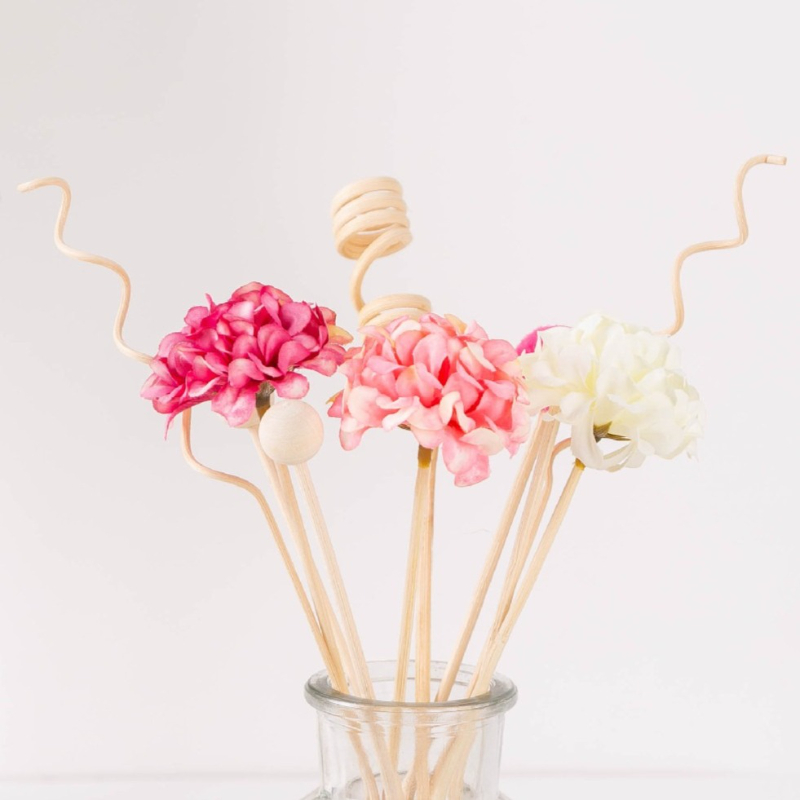 10pcs/set Stik Diffuser Bunga  - Diffuser Reed Sticks Set ulasan dan harga